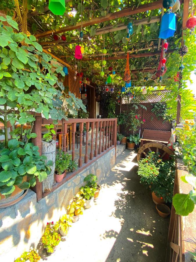 Avcioglu Konak Otel Safranbolu Esterno foto